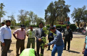 Plantation by the Embassy at Al Safwa Garden in Central Baghdad on the occasion of World Environment Day.