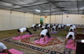 The Embassy of India in Baghdad organized a session of “Surya Namaskar” in the early morning of 14th January, 2022 under the aegis of “Azadi Ka Amrit Mahotsav” to celebrate the festival(s) of Makar Sankranti, Pongal, Lohri, Uttrayan and Magha Bihu. The Surya Namaskar session was hosted by Ministry of AYUSH, Government of India and was virtually attended by over 7.5 million people across the world